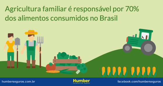 Agricultura familiar é responsável por 70% dos alimentos consumidos no Brasil