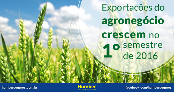 Exportações do agronegócio crescem no 1° semestre de 2016
