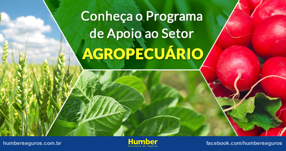 Programa de Apoio ao Desenvolvimento do Setor Agropecuário (Prodesa)