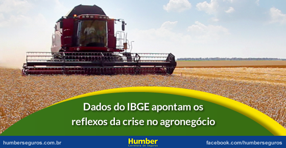 Dados do IBGE apontam os reflexos da crise no agronegócio