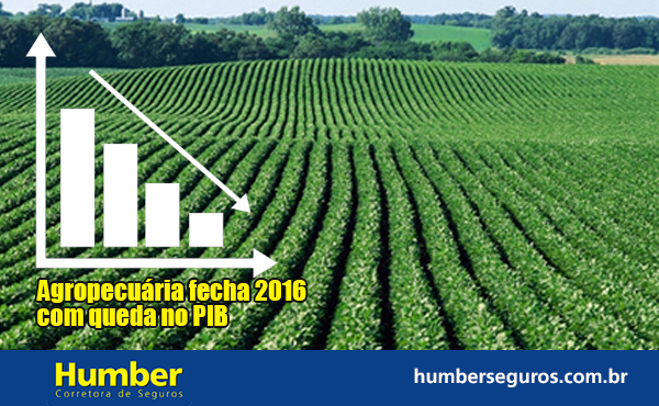 PIB fecha 2016 com queda no setor agropecuário de 6,6%