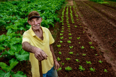 seguro de vida do produtor rural