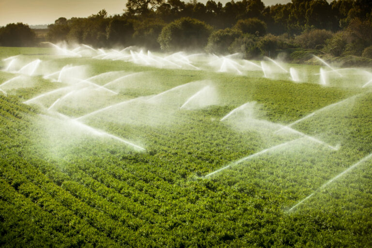 6 maiores benefícios da agricultura irrigada no Brasil