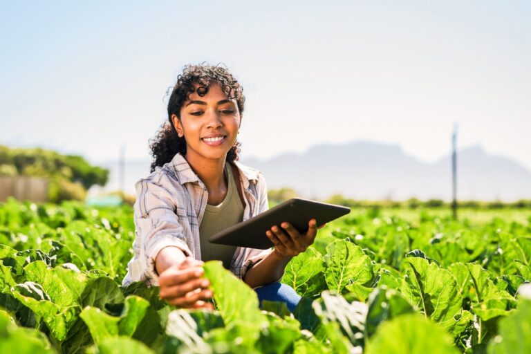 Agricultura sustentável: confira seus 5 maiores benefícios!