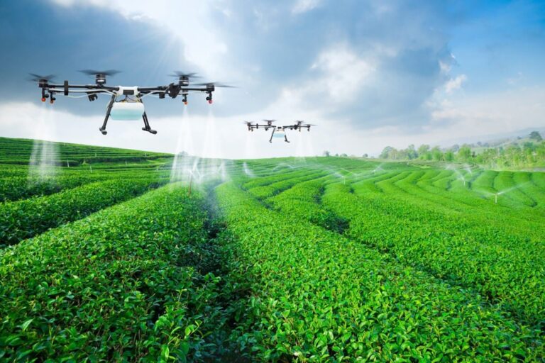 Drone agricola: conheça a importância dessa tecnologia