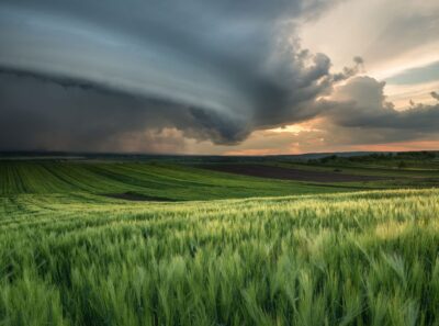 Clima na agricultura: 7 impactos das mudanças climáticas