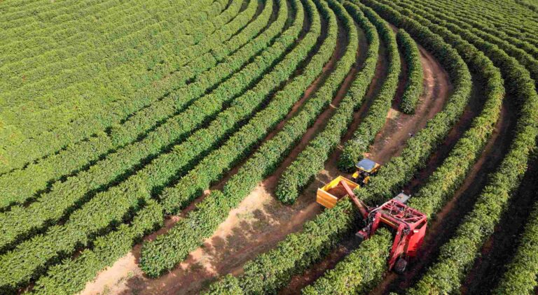 Continuidade de negócios na agricultura: saiba como conseguir