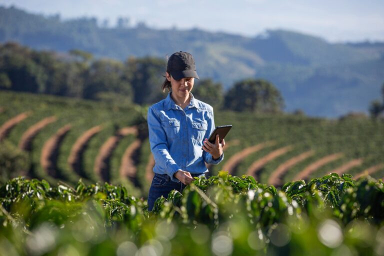 Gestão de riscos agrícolas: 6 dicas para proteger a sua lavoura